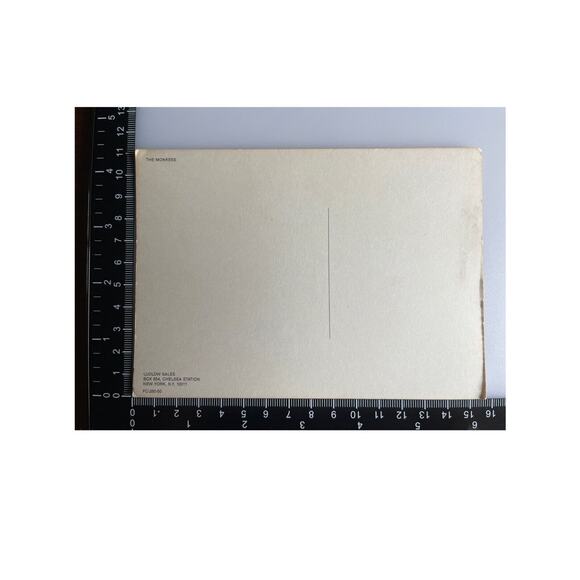 Vintage NOS 80s RPPC Postcard The Monkees Micky, Mikey, Davy, Peter Ludlow Sales - Picture 3 of 5